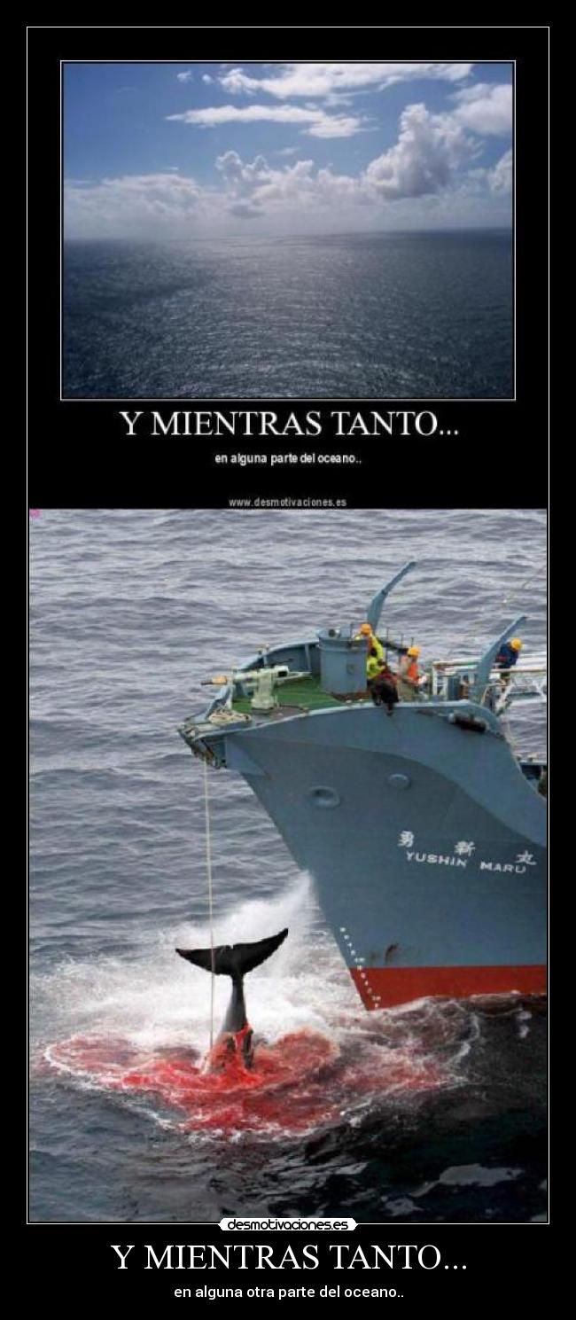 Y MIENTRAS TANTO... -