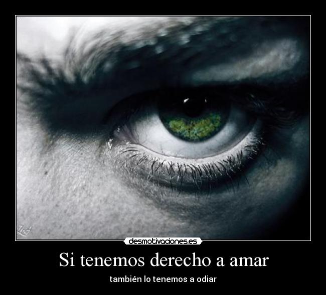 Si tenemos derecho a amar - también lo tenemos a odiar