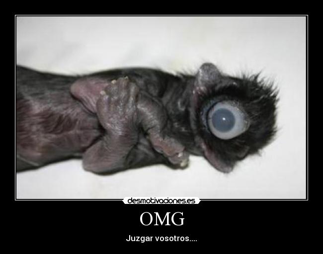 carteles lol desmotivaciones