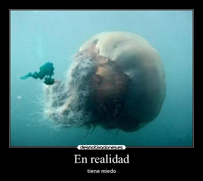 En realidad -