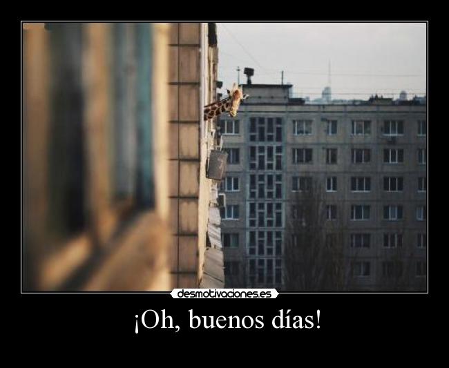 ¡Oh, buenos días! -