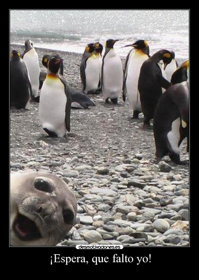¡Espera, que falto yo! -
