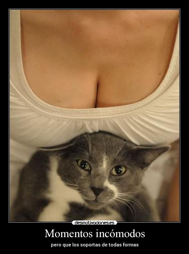 carteles momentos incomodos desmotivaciones