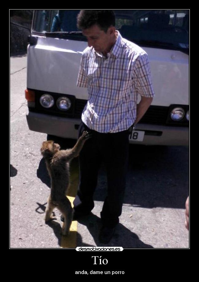 Tío - anda, dame un porro