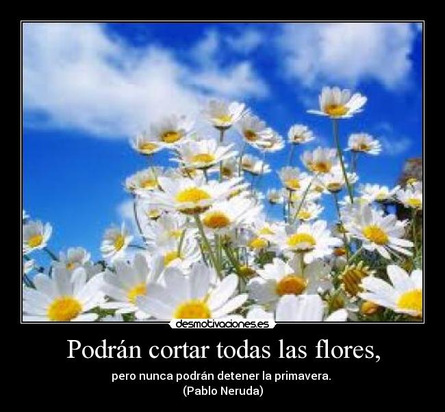 Podrán cortar todas las flores, - pero nunca podrán detener la primavera.
(Pablo Neruda)