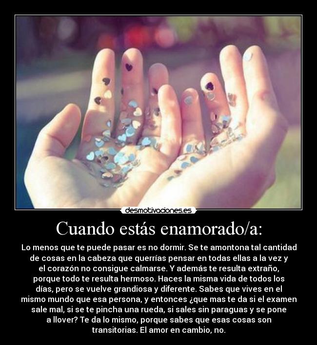 Cuando estás enamorado/a: -