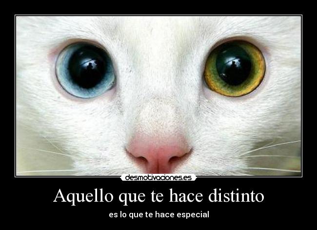 Aquello que te hace distinto -