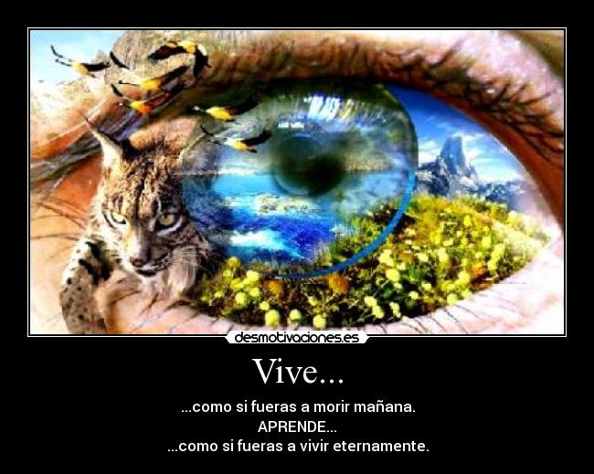 Vive... - ...como si fueras a morir mañana.
APRENDE...
...como si fueras a vivir eternamente.