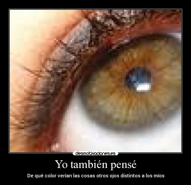 Yo también pensé - De qué color verían las cosas otros ojos distintos a los míos