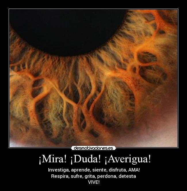 ¡Mira! ¡Duda! ¡Averigua! - Investiga, aprende, siente, disfruta, AMA!
Respira, sufre, grita, perdona, detesta
VIVE!