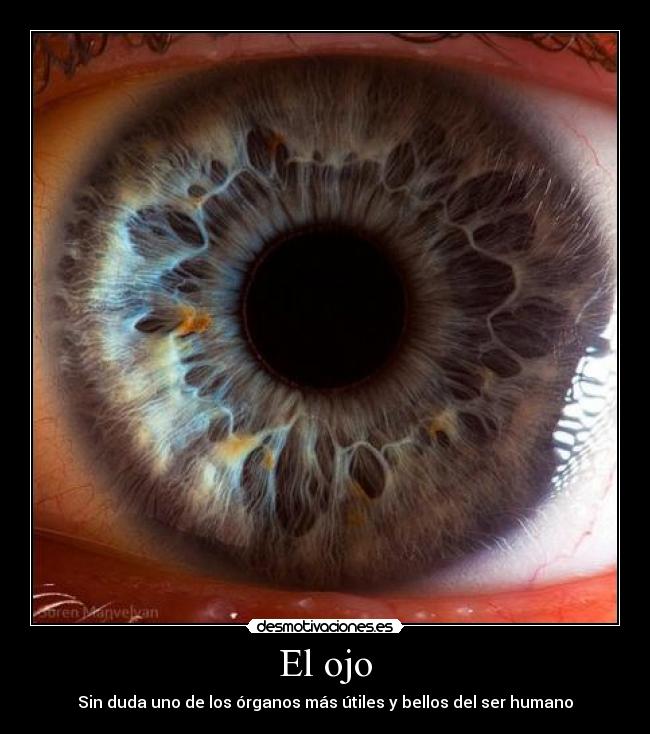 El ojo - 