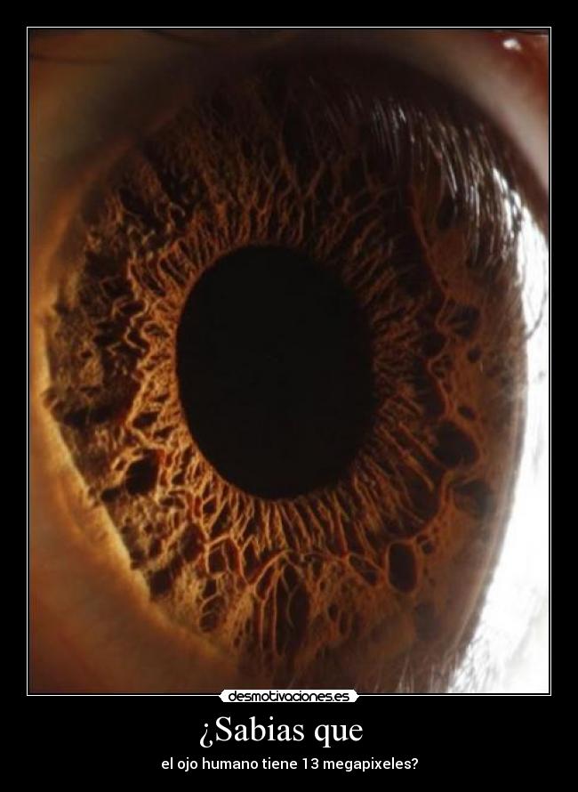 ¿Sabias que   - el ojo humano tiene 13 megapixeles?
