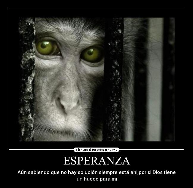 ESPERANZA - Aún sabiendo que no hay solución siempre está ahi,por si Dios tiene
un hueco para mi