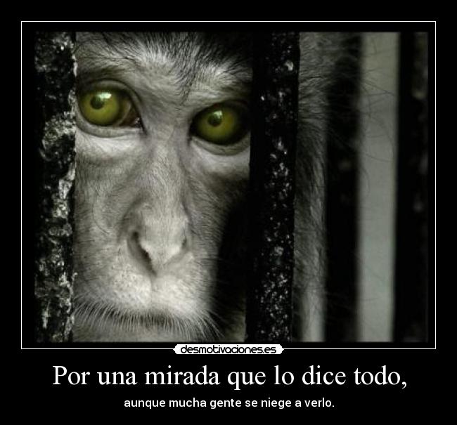 carteles flipy89 mirada todo desmotivaciones