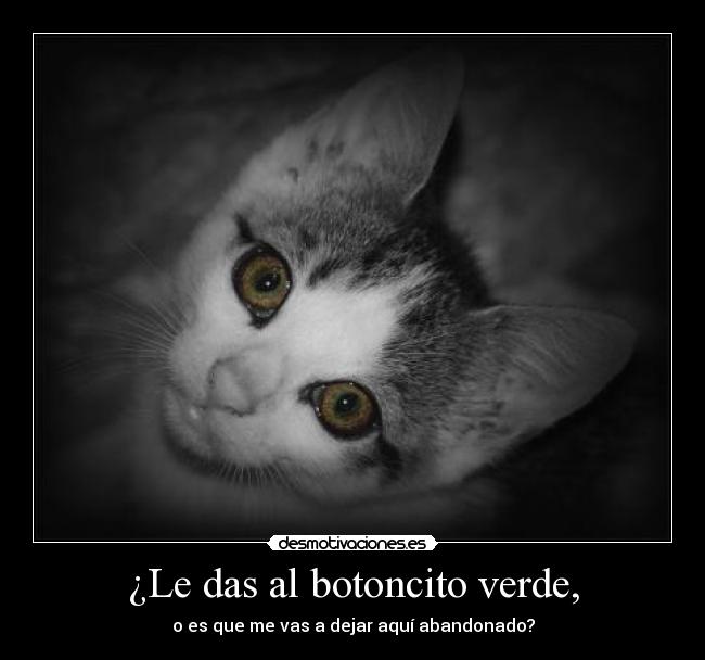 ¿Le das al botoncito verde, -