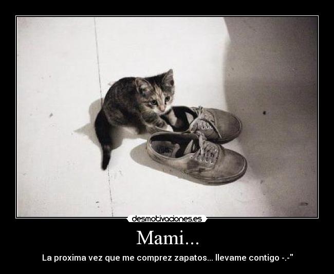Mami... - La proxima vez que me comprez zapatos... llevame contigo -.-