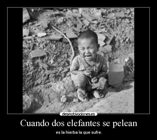 Cuando dos elefantes se pelean -