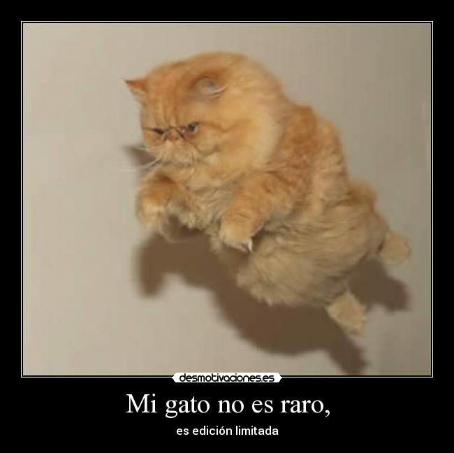 Mi gato no es raro, - es edición limitada