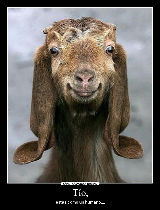 Tío, - estás como un humano....