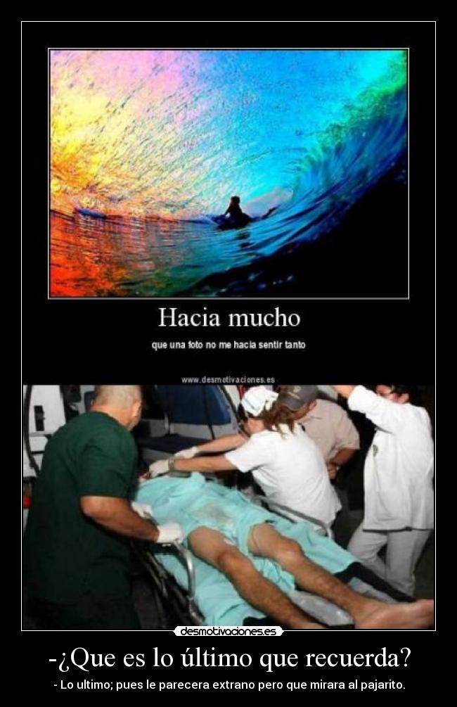 -¿Que es lo último que recuerda? - - Lo ultimo; pues le parecera extrano pero que mirara al pajarito.