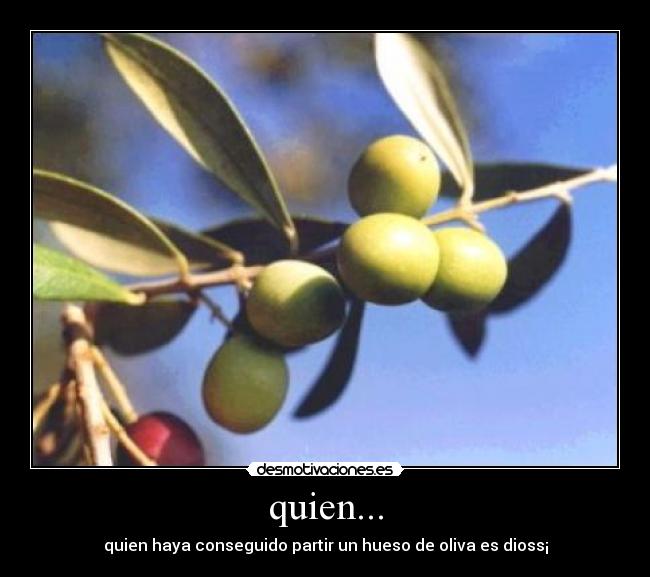 quien... - quien haya conseguido partir un hueso de oliva es dioss¡