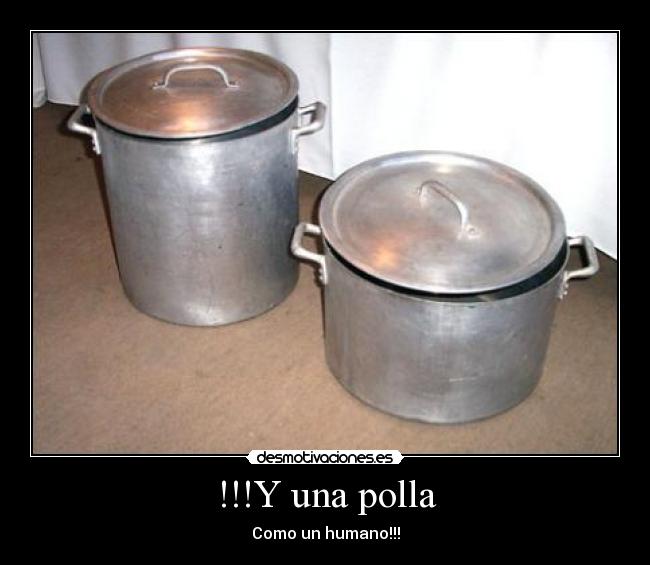 !!!Y una polla -