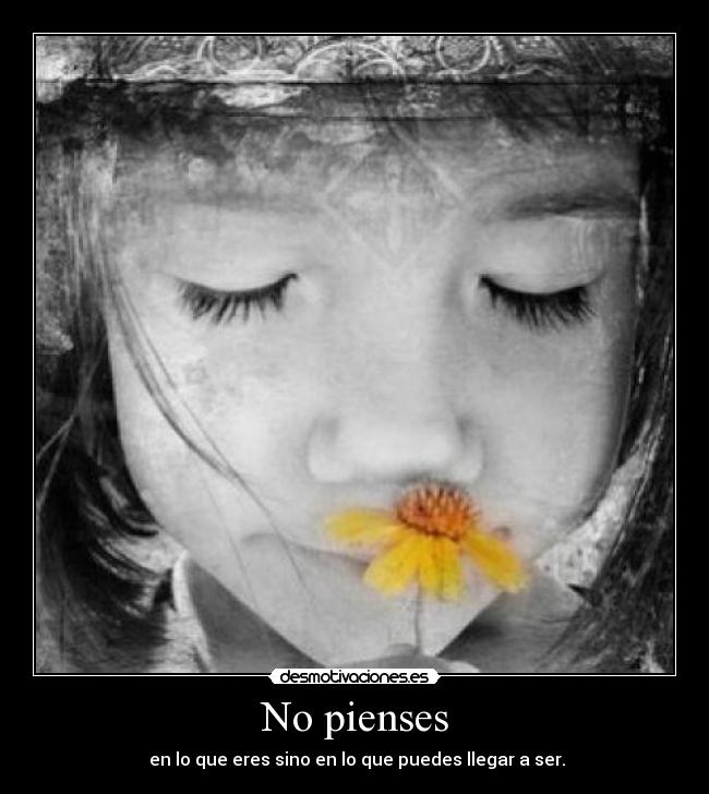 carteles sora25 desmotivaciones