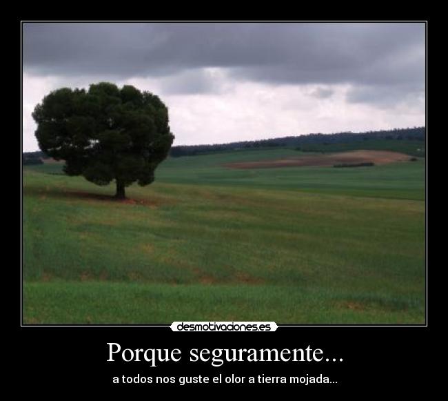 Porque seguramente... - a todos nos guste el olor a tierra mojada...