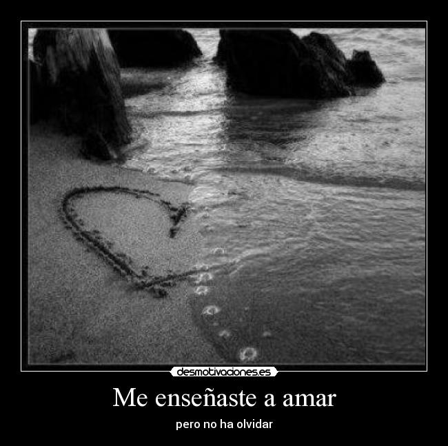 Me enseñaste a amar - 
