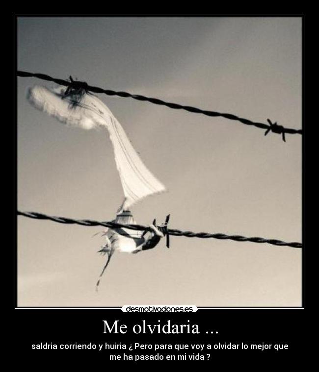Me olvidaria ... - saldria corriendo y huiria ¿ Pero para que voy a olvidar lo mejor que
me ha pasado en mi vida ?