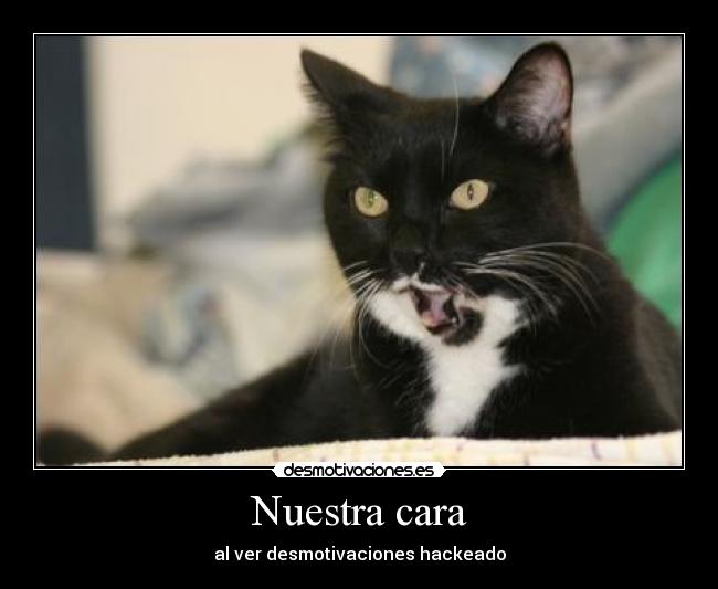 Nuestra cara - al ver desmotivaciones hackeado