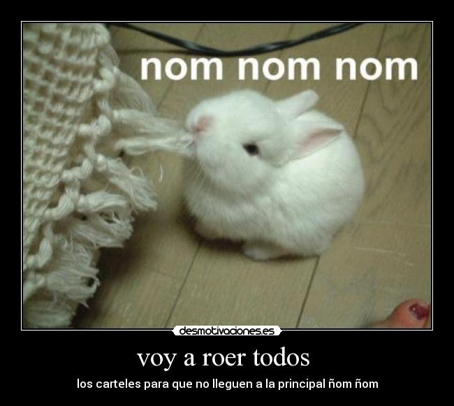voy a roer todos  - 