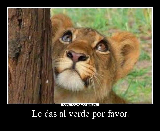 Le das al verde por favor. -