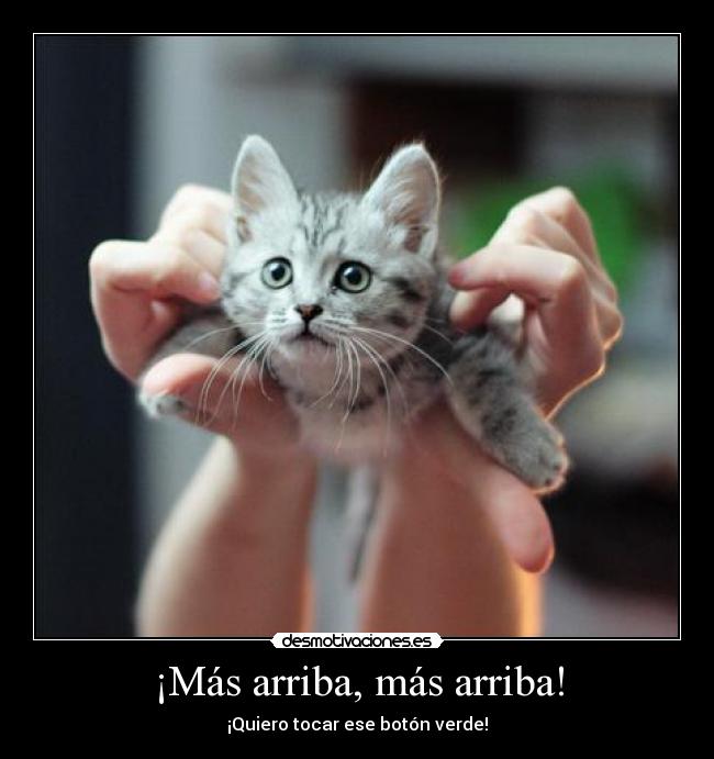 ¡Más arriba, más arriba! -