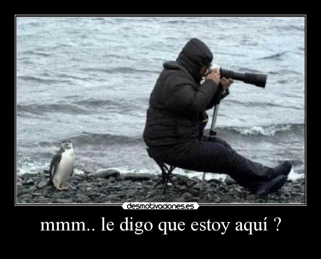 mmm.. le digo que estoy aquí ? -