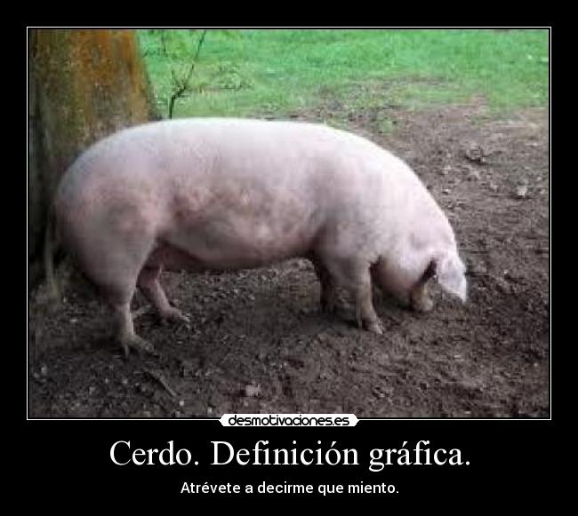 Cerdo. Definición gráfica. - 