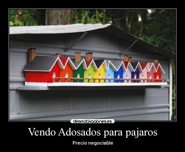 Vendo Adosados para pajaros - Precio negociable