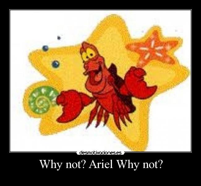 Why not? Ariel Why not? - 