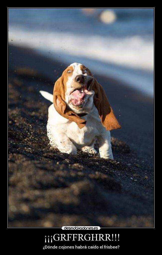 ¡¡¡GRFFRGHRR!!! - 