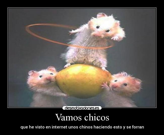 Vamos chicos - que he visto en internet unos chinos haciendo esto y se forran