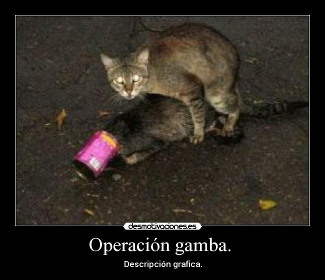 carteles wwwdesmotivacioneses desmotivaciones