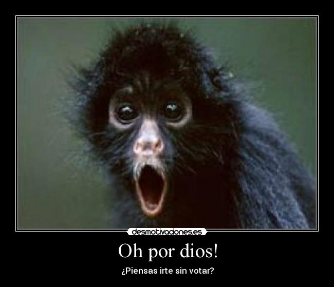 Oh por dios! - ¿Piensas irte sin votar?