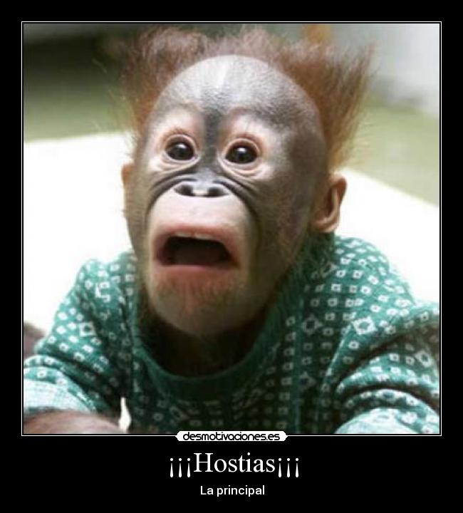 ¡¡¡Hostias¡¡¡ - 