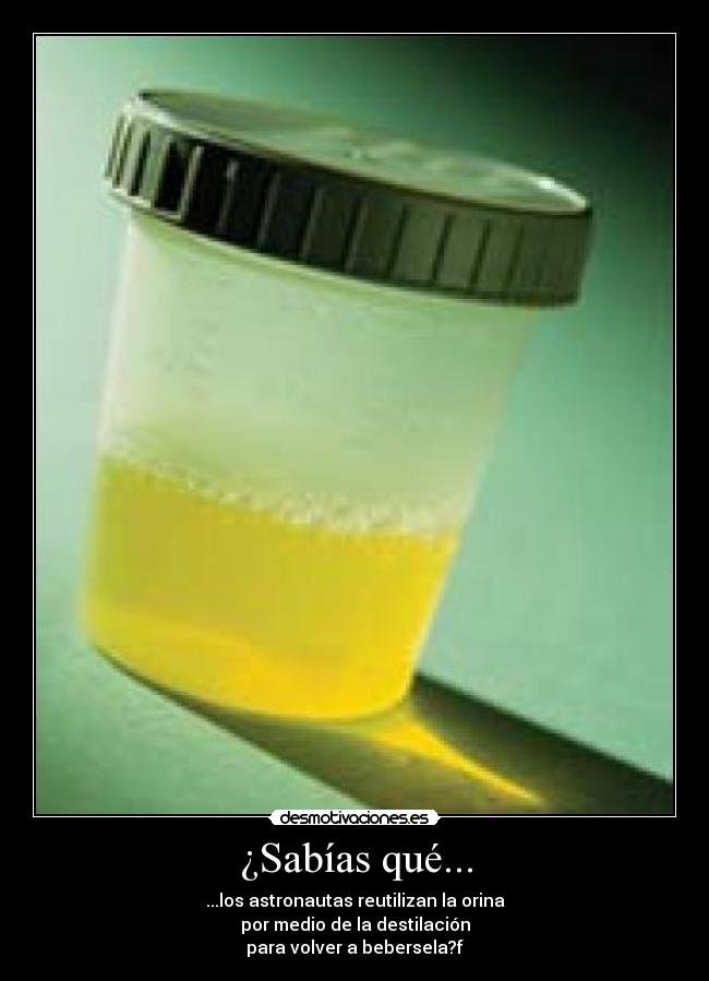 ¿Sabías qué... - ...los astronautas reutilizan la orina
por medio de la destilación
para volver a bebersela?f