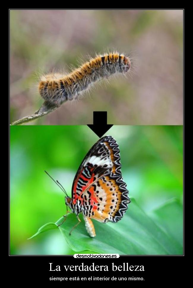 La verdadera belleza - siempre está en el interior de uno mismo.
