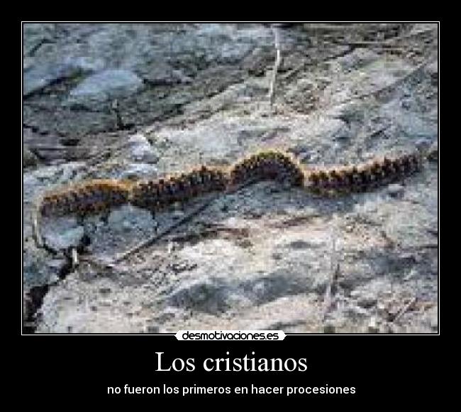 Los cristianos - 