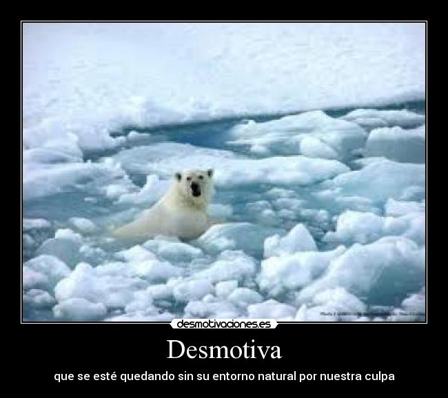 Desmotiva - que se esté quedando sin su entorno natural por nuestra culpa