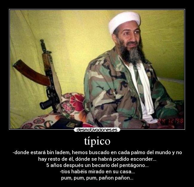típico - -donde estará bin ladem, hemos buscado en cada palmo del mundo y no
hay resto de él, dónde se habrá podido esconder...
5 años después un becario del pentágono...
-tíos habéis mirado en su casa...
pum, pum, pum, pañon pañon...
