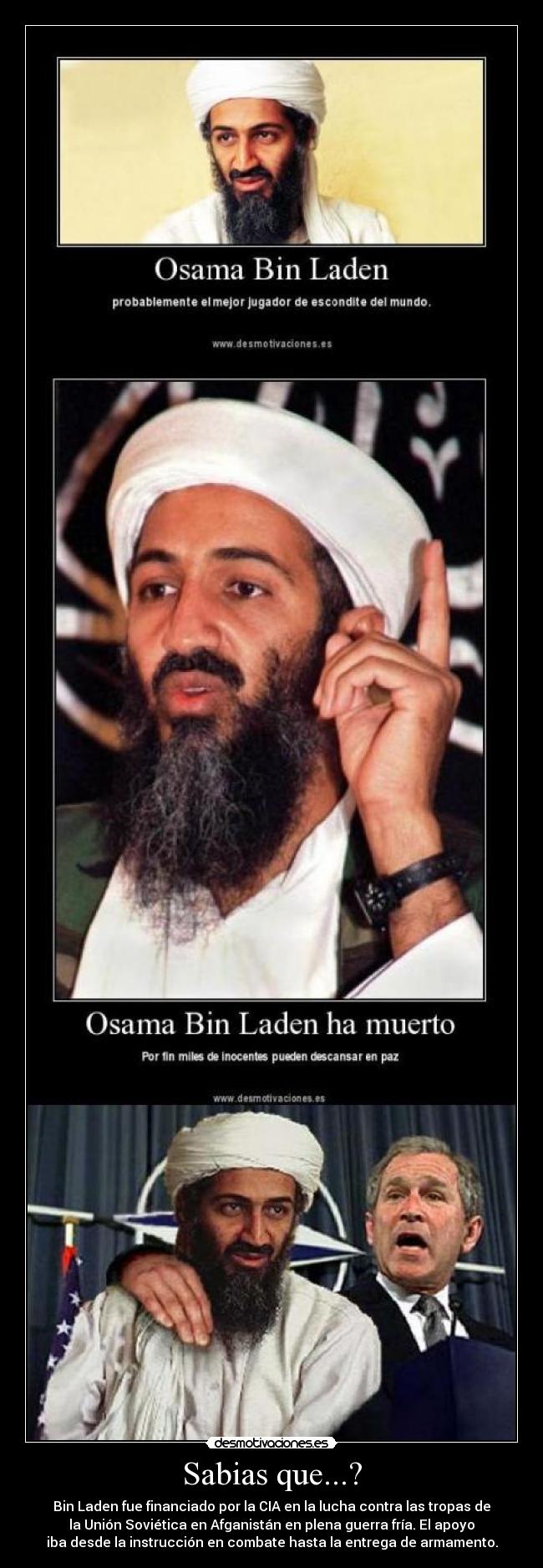 Sabias que...? - Bin Laden fue financiado por la CIA en la lucha contra las tropas de
la Unión Soviética en Afganistán en plena guerra fría. El apoyo
iba desde la instrucción en combate hasta la entrega de armamento.