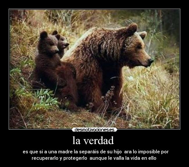 carteles desmotivaciones